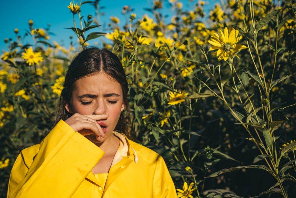 4 remedios para la alergia sin receta